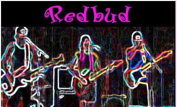 Redbud cd cover